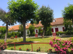 Residence Poseidone - Case Vacanze Rossano